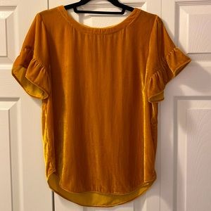 Ann Taylor LOFT Velvet Ruffle Sleeve Top in Gold